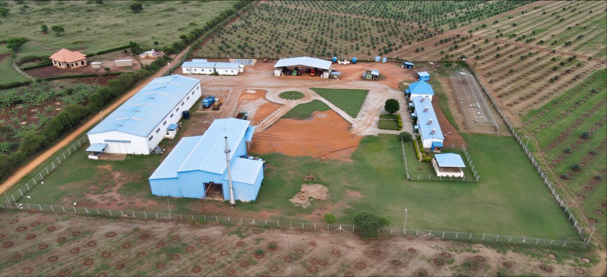 Farm compound aerial view