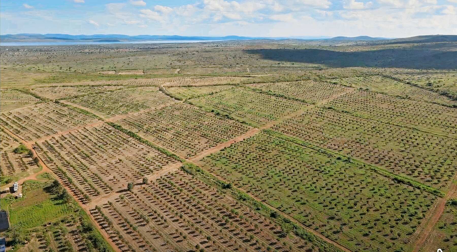 Pearl of Africa farm aerial view